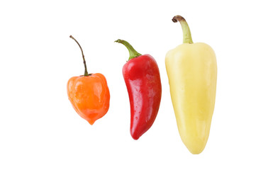 hot peppers with clipping path isolated on white