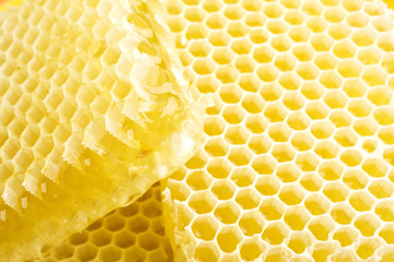 slices of honeycombs