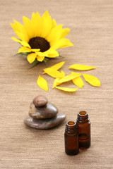 sunflower beauty treatment