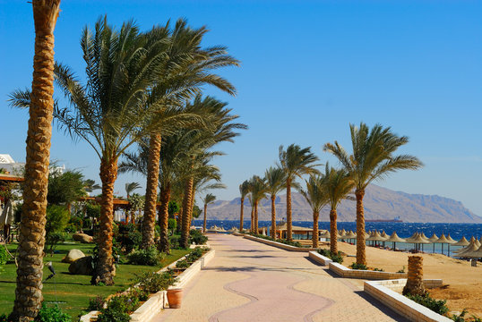 sharm el sheikh