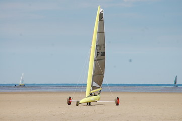 Fototapeta premium char à voile