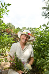 Summer Herb Garden