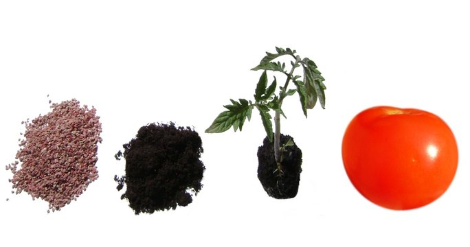AGRICULTURE.