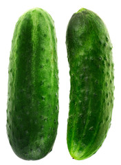 Cucumber group