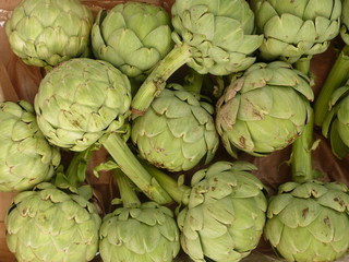 Obraz premium Artischocken 3