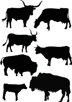 buffalo and cow silhouettes