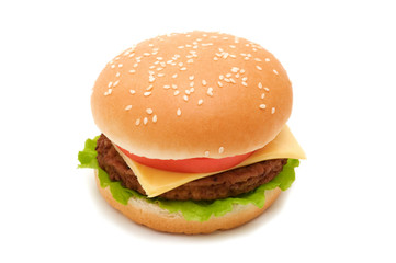 Tasty hamburger on white background