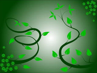 A Green Abstract Floral Vector