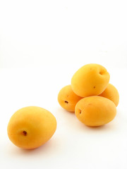 Apricot