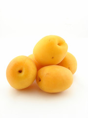 Apricot