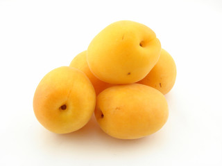 Apricot