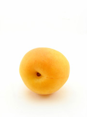 Apricot isolated