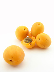Apricot