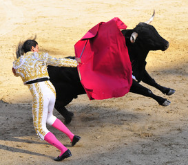 Matador et taureau sauteur