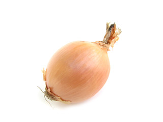Onion