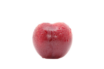 Plum