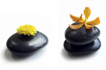 Black stones and orchid