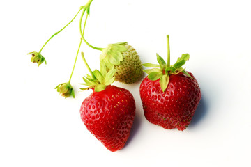 Strawberries
