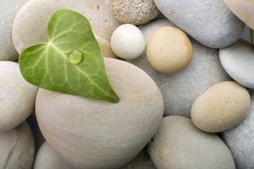 heart leaf pebbles background