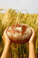 Brot für die Welt