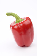 red pepper on white background