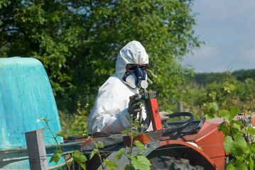 sulfatage de la vigne