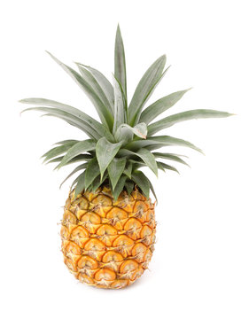 Whole Pineapple Fruit With White Isolated Background