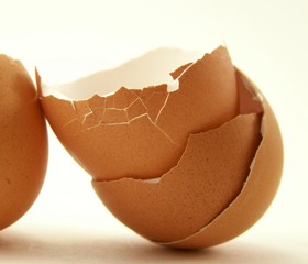 Cracked Brown Egg Shells, Horizontal