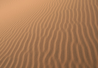 Fototapeta na wymiar motifs dans le sable
