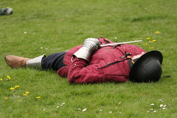 Fallen soldier