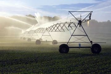Foto op Plexiglas crop irrigation © Dave Willman