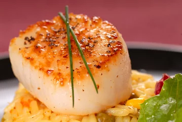 Deurstickers Seared scallop on a bed of saffron rice © David Smith