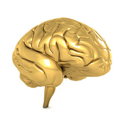 Gold brain isolated on white