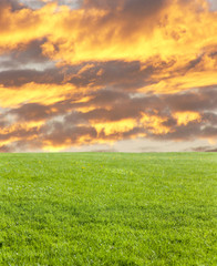 Fototapeta na wymiar Green field and fire cloud