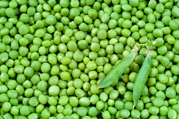 Plakat green pea