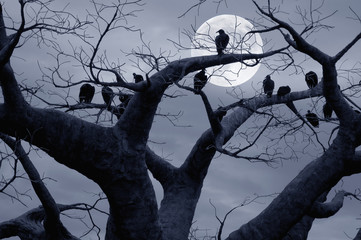 Spooky Vultures