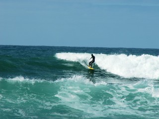 Surfing in Waves
