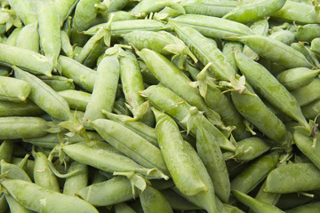 Raw Beans from a Farmers Market