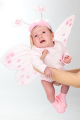 Obraz na płótnie Canvas Baby butterfly
