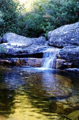 Knysna Forest -Tinted River