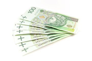 Many polish money