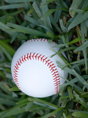 Baseball macro