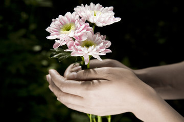 Fototapeta na wymiar Flower In Hands