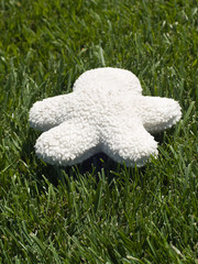 Blank Stuffed Toy with Copy Space. 