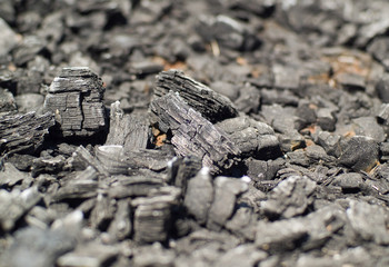 Burnt Wood, looking more like charcoal at this point. 