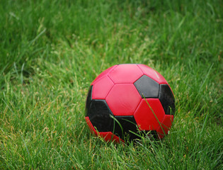 Fototapeta na wymiar Red ball in grass