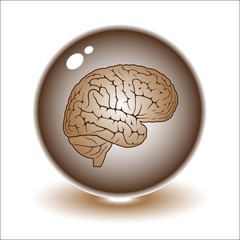 Vector brain illustration. Simply change.