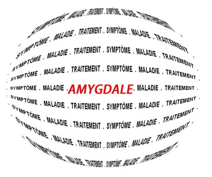 amygdale