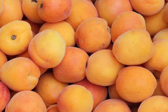 apricots