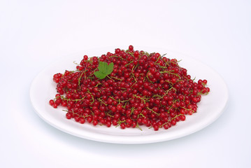 Johannisbeere - currant 03